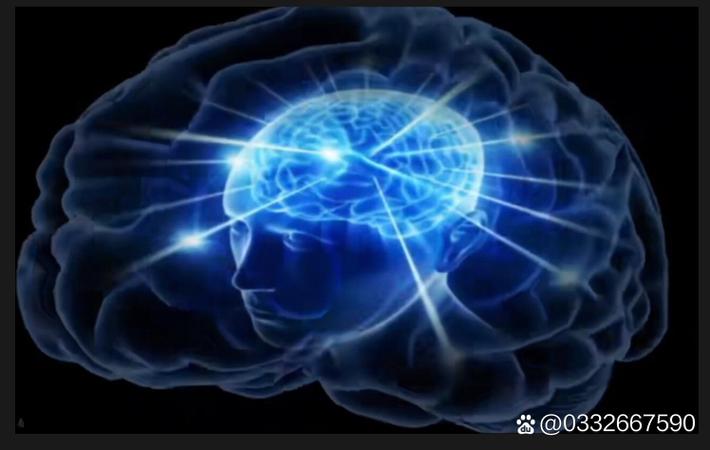 别让虚假苦情透支社会善意